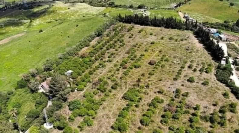 Cádiz - San Martín del Tesorillo - 25000m2
