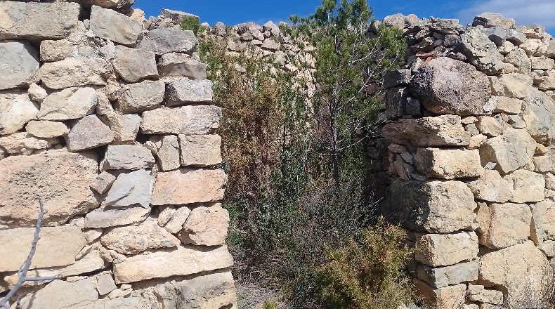 Valencia - Valencia - 9067m2