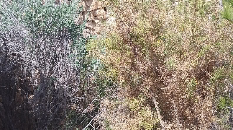 Valencia - Valencia - 9067m2