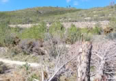 Terreno con Ruinas en venta en la Calle Colón, Alcublas, ref: TR388360 foto
