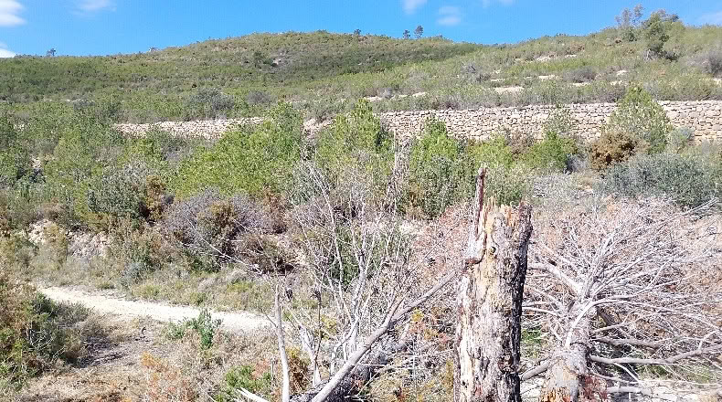 Valencia - Valencia - 9067m2