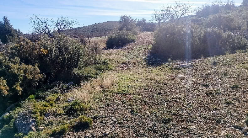 Valencia - Valencia - 3454m2