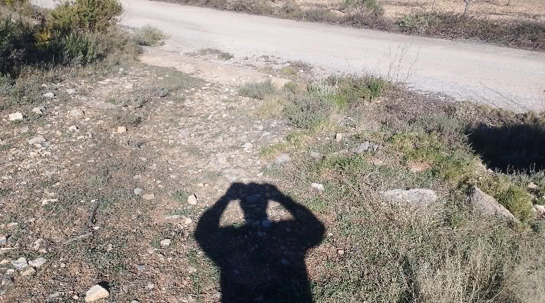 Valencia - Valencia - 3454m2