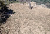 Terreno con Ruinas en venta en la Calle Colón, Alcublas, ref: TR388359 foto