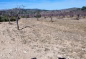 Terreno con Ruinas en venta en la Calle Colón, Alcublas, ref: TR388359 foto