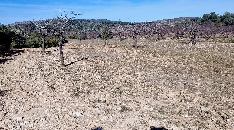 Valencia - Valencia - 3454m2