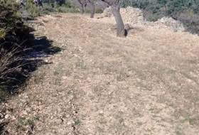 Foto 9