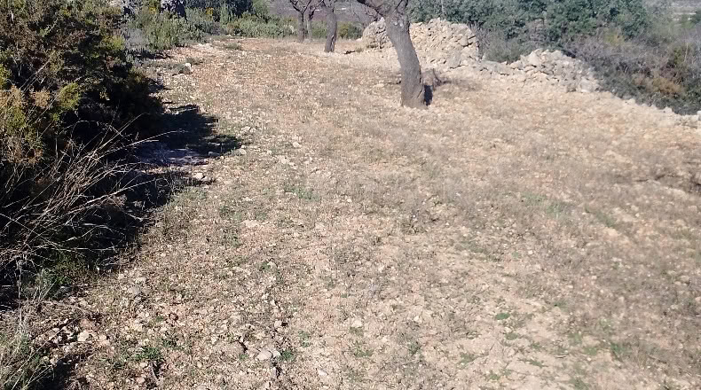 Valencia - Valencia - 3454m2