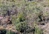 Terreno con Ruinas en venta en la Calle Colón, Alcublas, ref: TR388359 foto