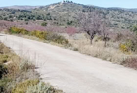 Foto 11