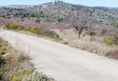 Terreno con Ruinas en venta en la Calle Colón, Alcublas, ref: TR388359 foto