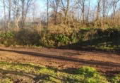 Terreny no urbanitzable en venda a la Via Verda Les Preses - El Mallol, el Veïnat Cirera, ref.: TR388358 foto