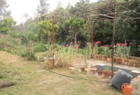 Foto 8