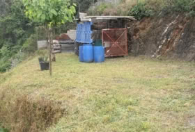 Foto 9