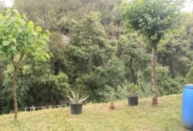 Foto 10
