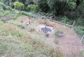 Foto 11