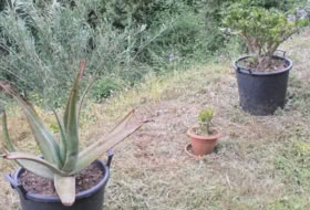 Foto 12
