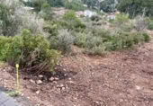 Suelo urbano en venta en la MAS DE MONTOMBRA 12, Olivella, ref: TR388366 foto