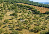 Terreno con Ruinas en venta en la Camino del Rey, Los Navalucillos, ref: TR379136 foto