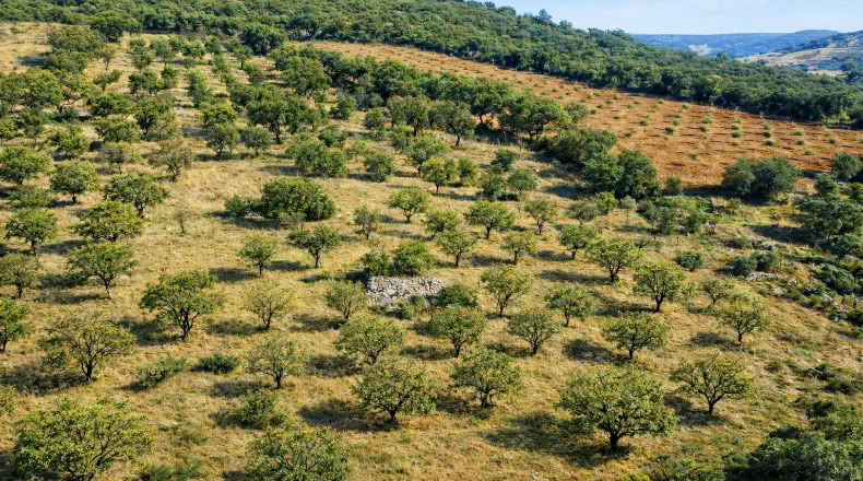 Toledo - Los Navalucillos - 15500m2