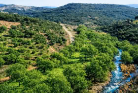 Los Navalucillos 15500&nbsp;м²