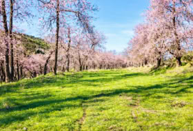Los Navalucillos 15500&nbsp;м²
