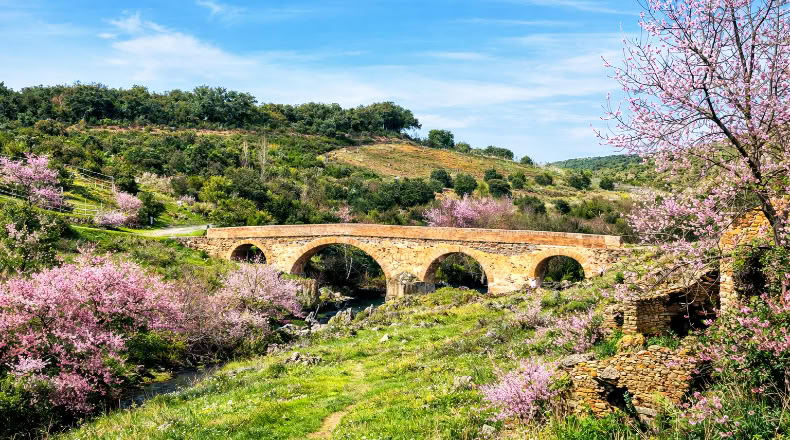 Toledo - Los Navalucillos - 15500m2
