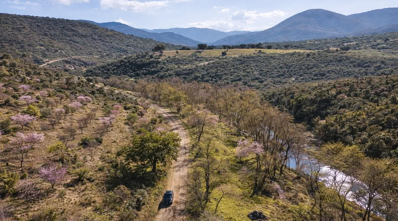 Toledo - Los Navalucillos - 15500m2