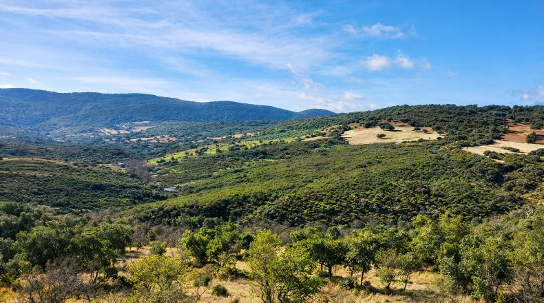 Toledo - Los Navalucillos - 15500m2