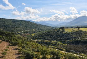 Los Navalucillos 15500&nbsp;м²