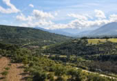 Terreno con Ruinas en venta en la Camino del Rey, Los Navalucillos, ref: TR379136 foto