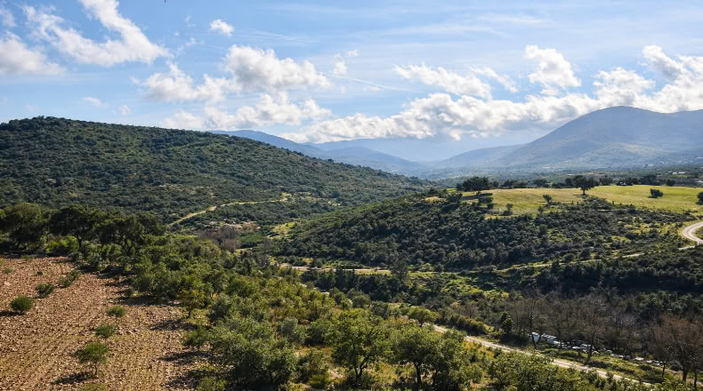 Toledo - Los Navalucillos - 15500m2