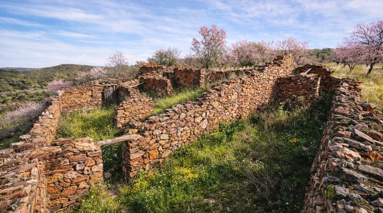 Toledo - Los Navalucillos - 15500m2