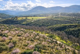 Los Navalucillos 15500&nbsp;м²