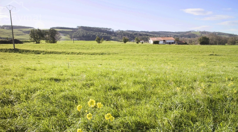 Cantabria - Гализано - 8769m2