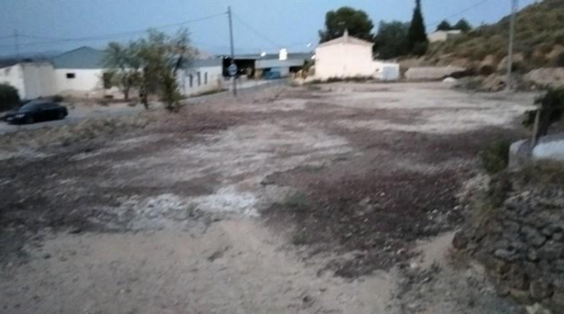 Murcia - Calasparra - 8710m2