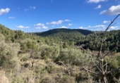 Detached villa with land for sale on España, Calaceite, ref: TR390338 photo