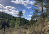 Detached villa with land for sale on España, Calaceite, ref: TR390338 photo
