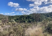 Detached villa with land for sale on España, Calaceite, ref: TR390338 photo