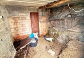 Casa de poble en venda a la España, Sandiás, ref.: TR390337 foto