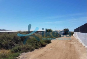 San Isidro de Níjar 11000&nbsp;м²
