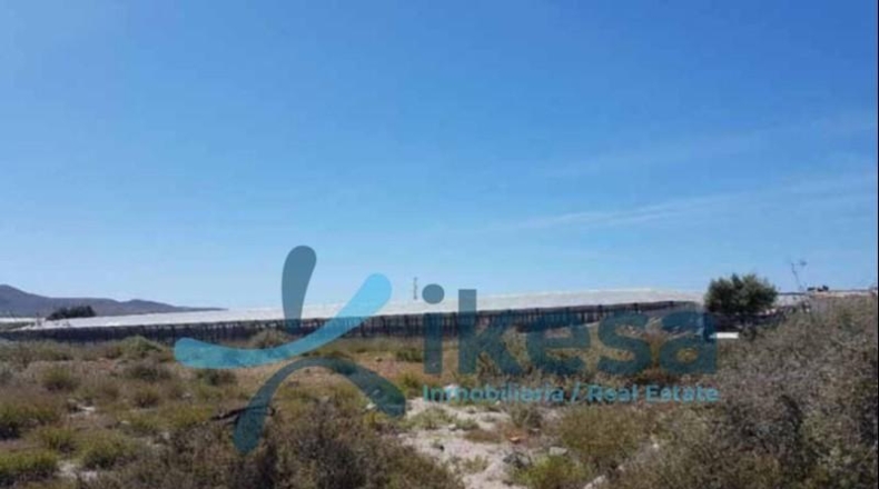 Almeria - Níjar - 11000m2