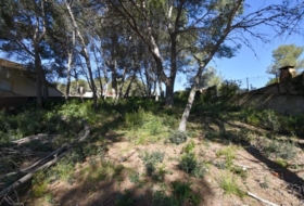 Olivella 824&nbsp;m²