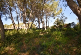 Olivella 824&nbsp;m²