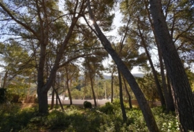 Olivella 824&nbsp;m²