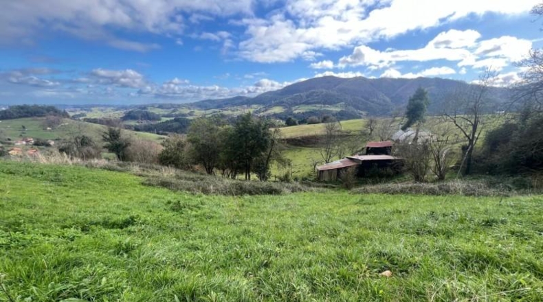 Asturias - Pidri - 3980m2