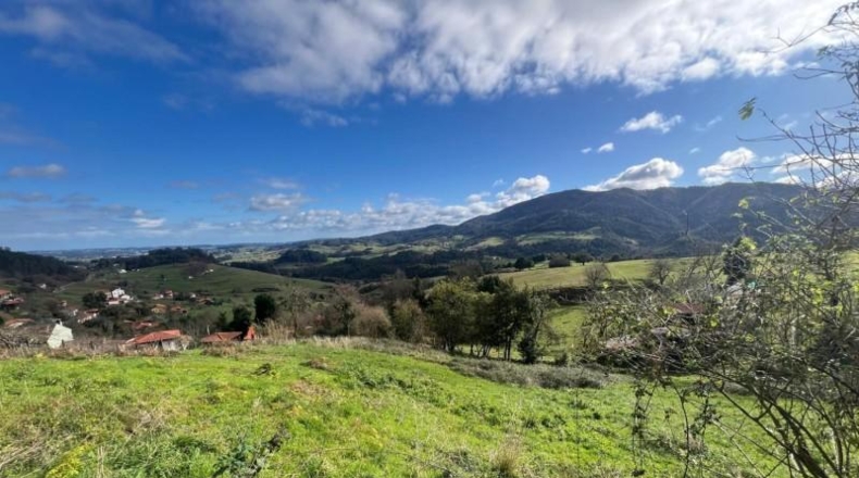 Asturias - Pidri - 3980m2