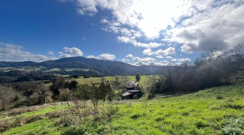 Asturias - Pidri - 3980m2