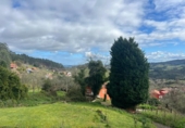 Parcel·la urbanitzable en venda a la España, La Cruz de Illas, ref.: TR388986 foto