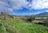 Parcel·la urbanitzable en venda a la España, La Cruz de Illas, ref.: TR388986 foto